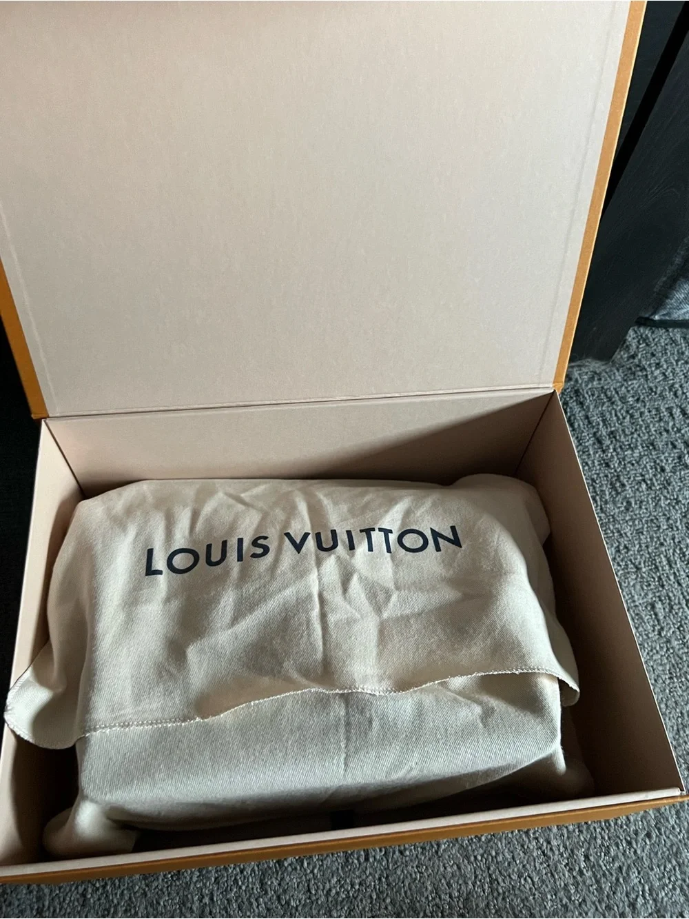 Louis Vuitton Dauphine East-West Louis Vuitton new